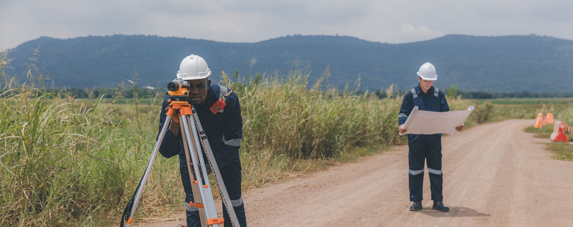 Engineering and design surveys