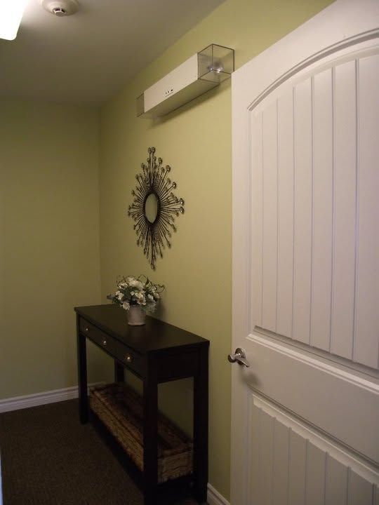 Narrow hallway with pale green walls, white door, decorative mirror, and black console table with flowers.