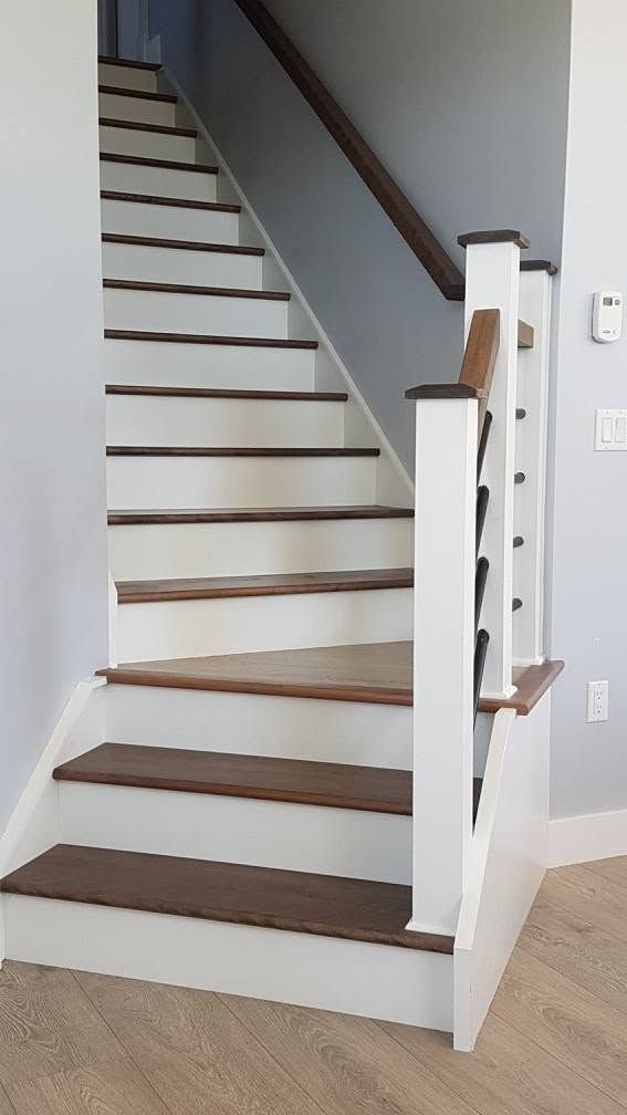 Interior staircase with white railings, dark wood treads, and beige carpeted floor.