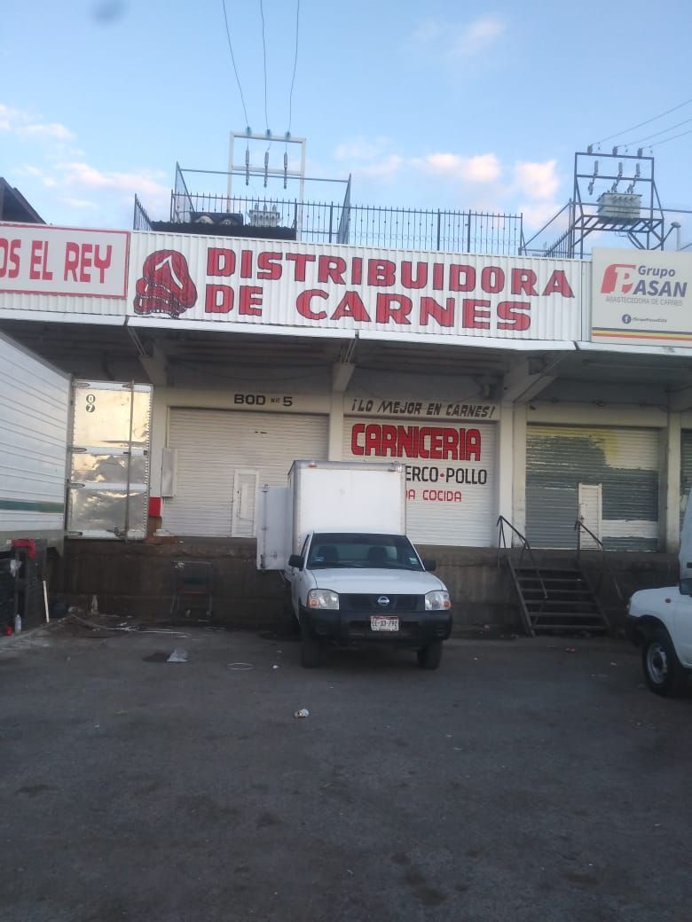 PINTOR ROTULISTA