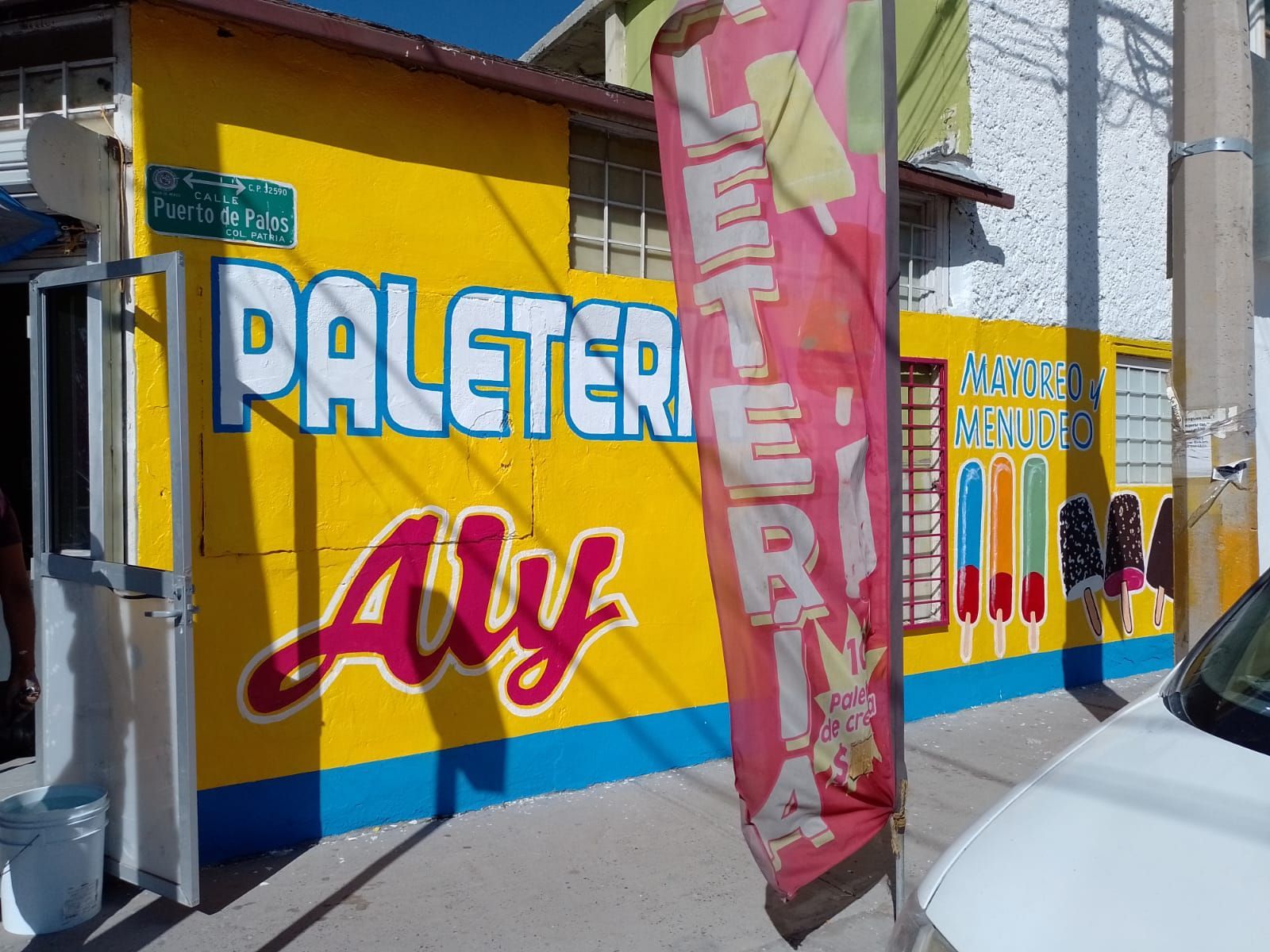 PINTOR ROTULISTA