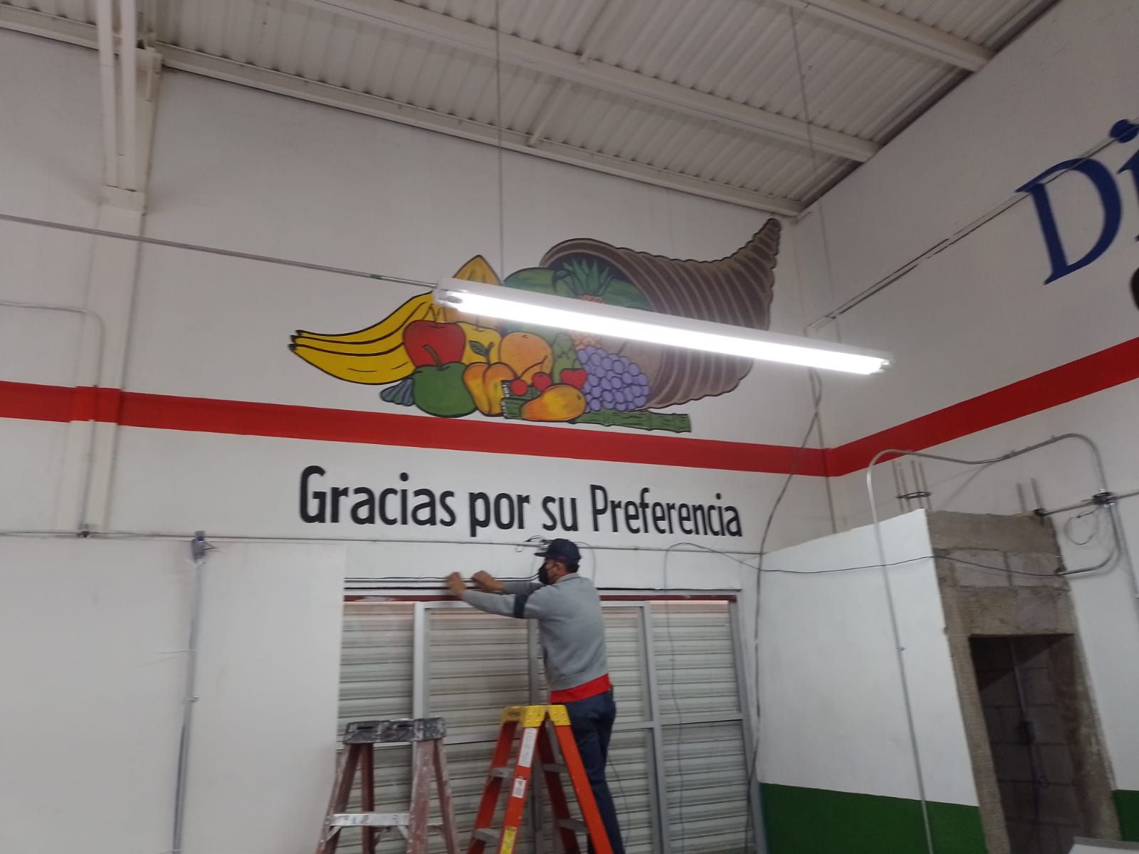 PINTOR ROTULISTA