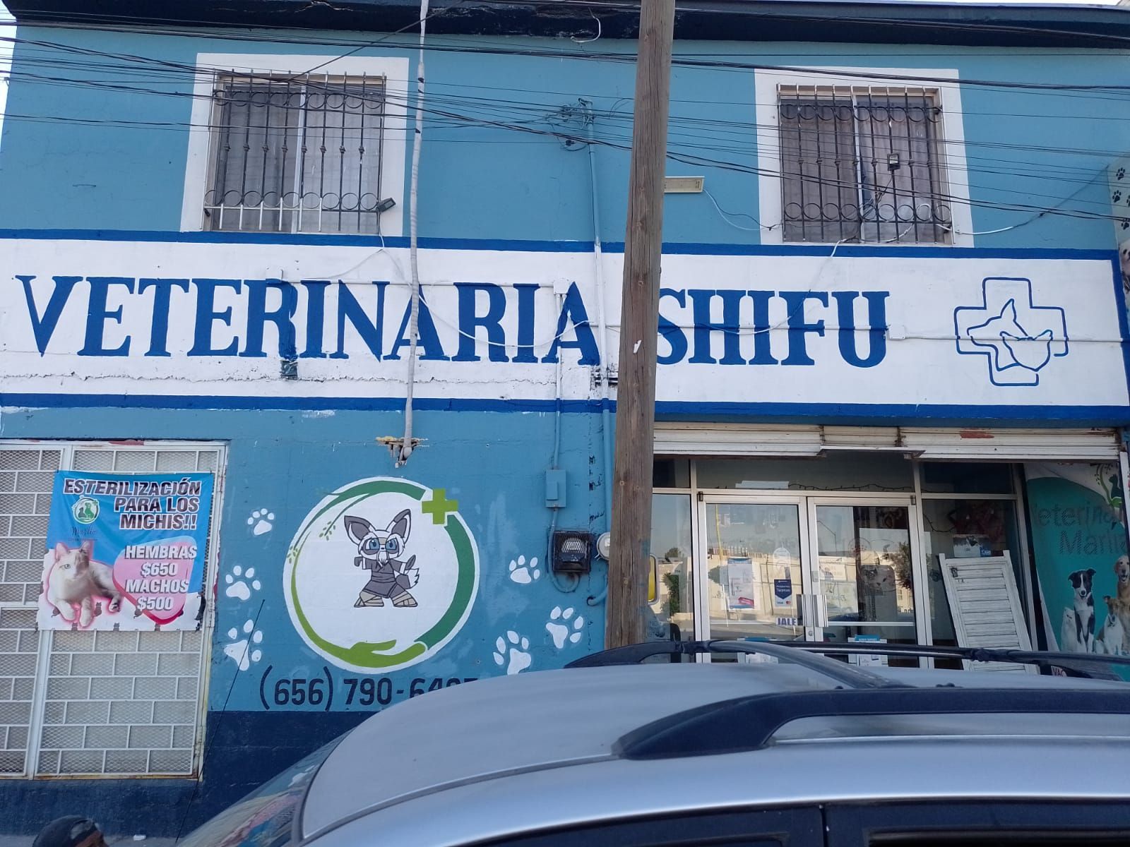 PINTOR ROTULISTA