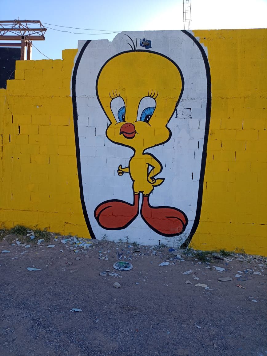 PINTOR ROTULISTA
