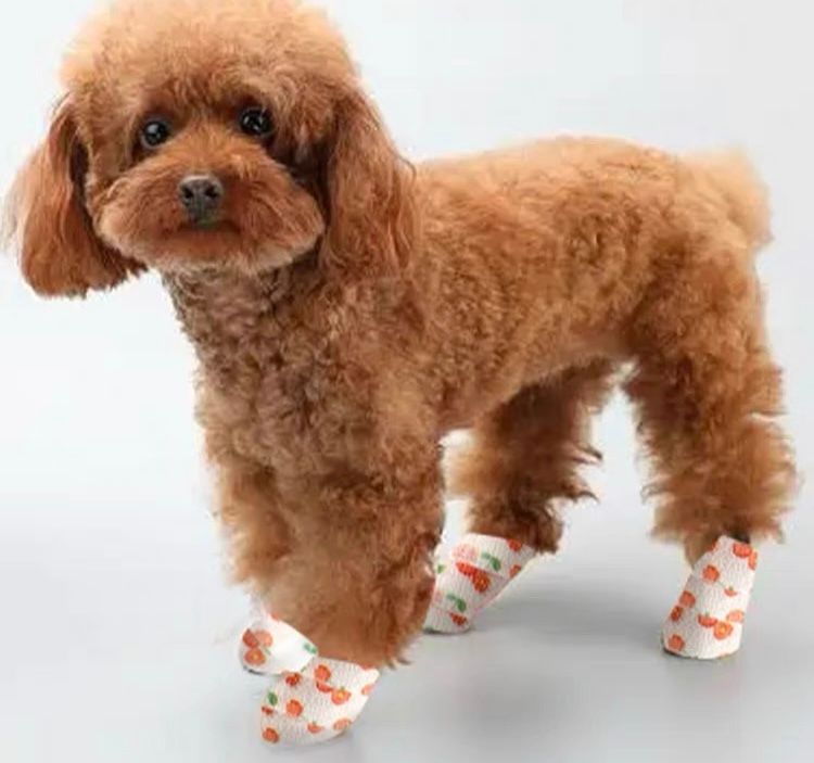 寵物 腳套 貼 每天保持外出玩耍乾乾淨淨 一組三卷 Pet paw pads help keep your pet clean during outdoor playtime. A set of three rolls.