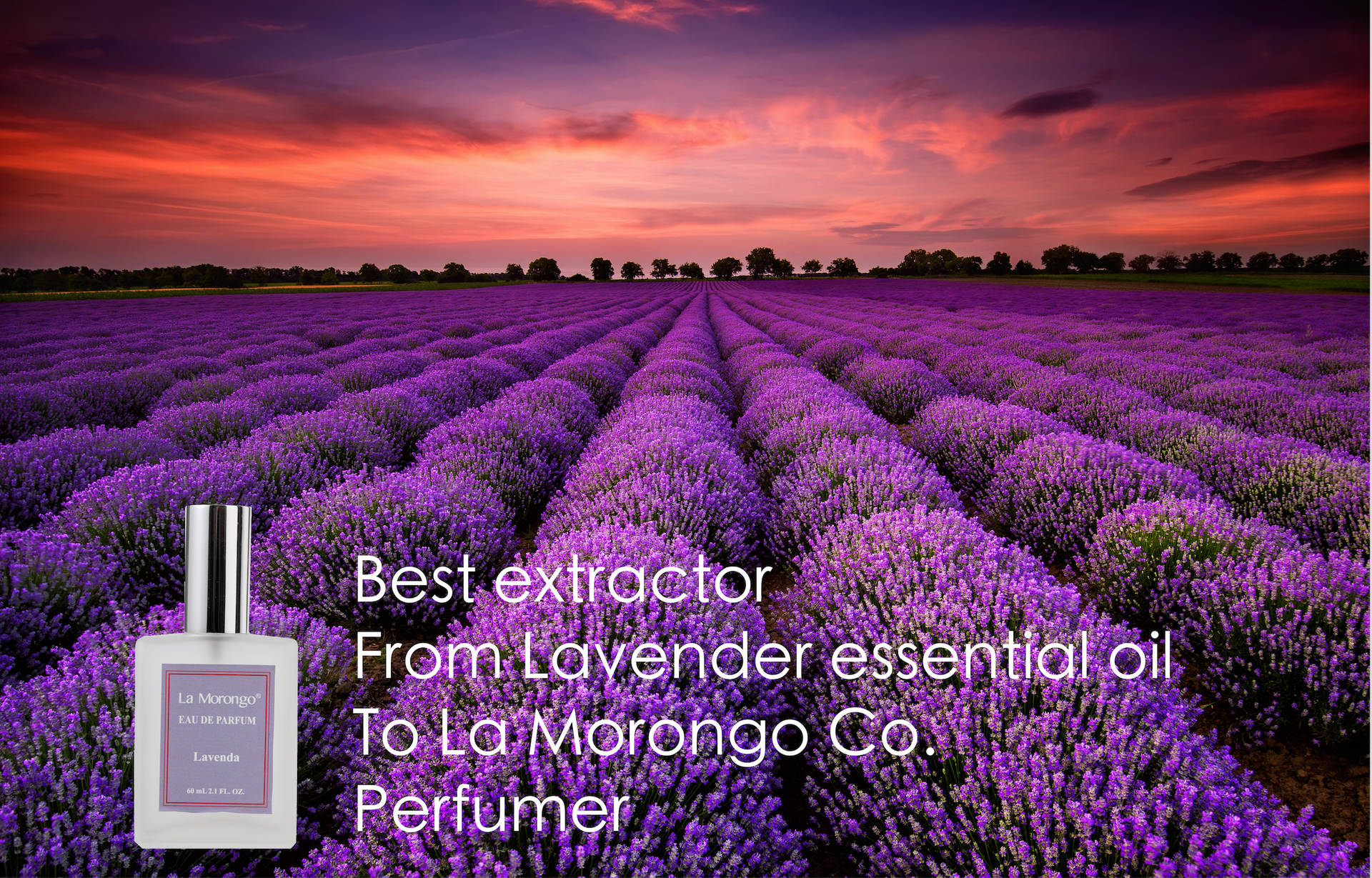普羅旺斯薰衣草 精油香水淡香水噴霧 60mL Essential oil,Relax, Natural, Gental smell,For Shower