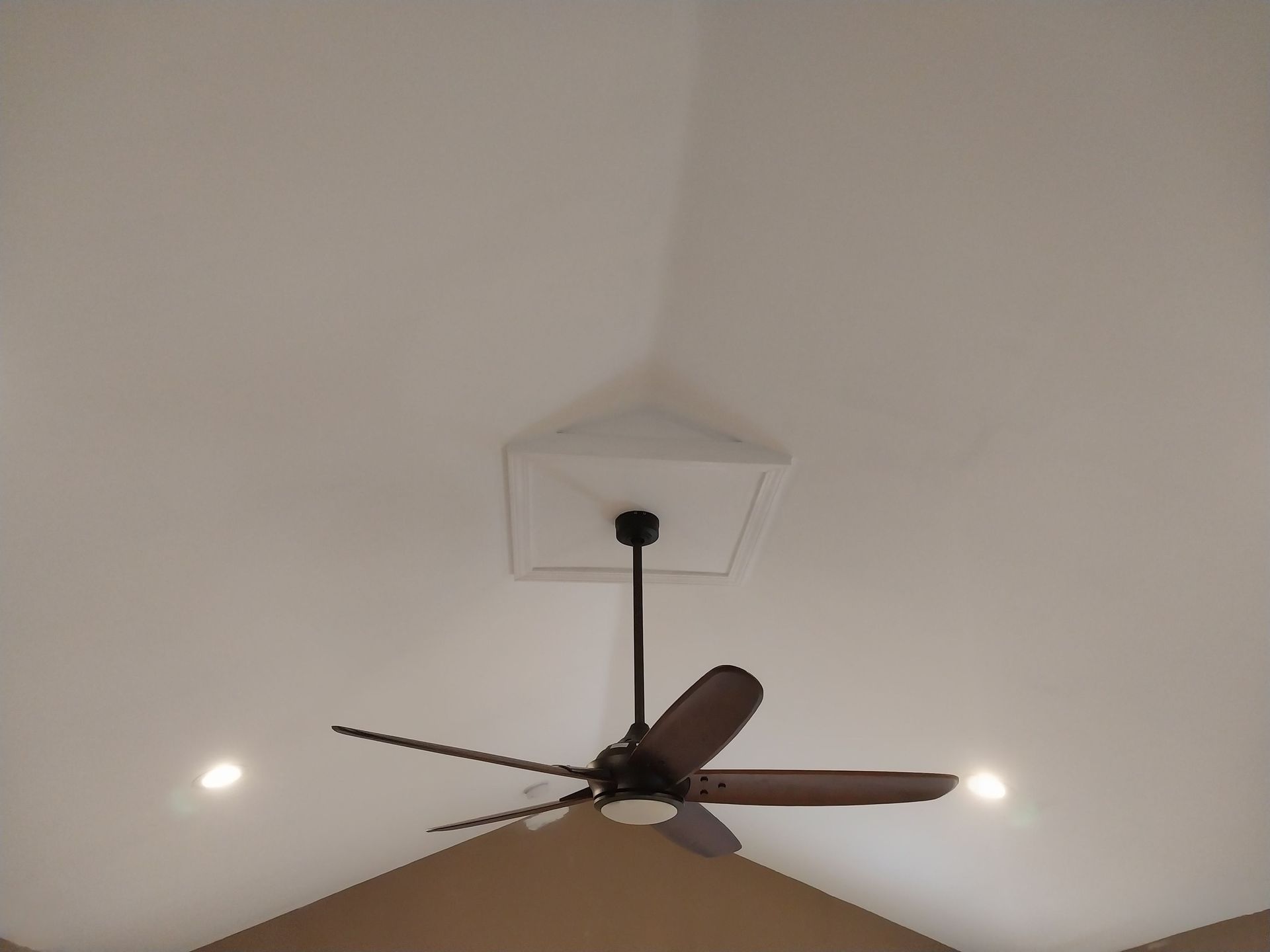 Ceiling fan with dark blades and a small recessed light on a white ceiling.