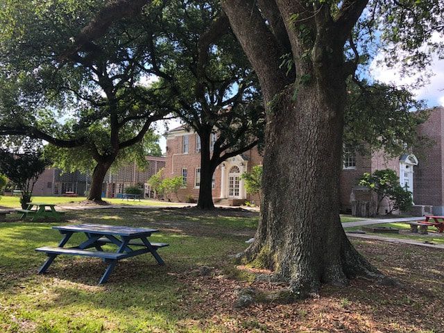 Picnic table under large oak trees in a grassy park, a brick building in the background.