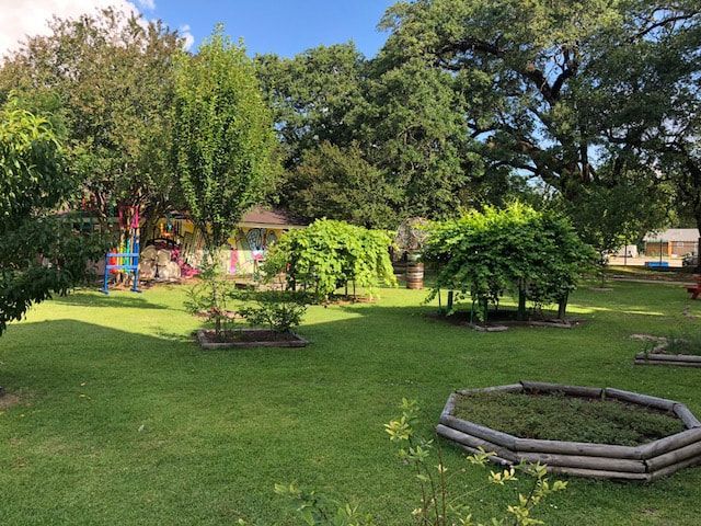 Green grassy yard with trees, small bushes, and a building in the background.