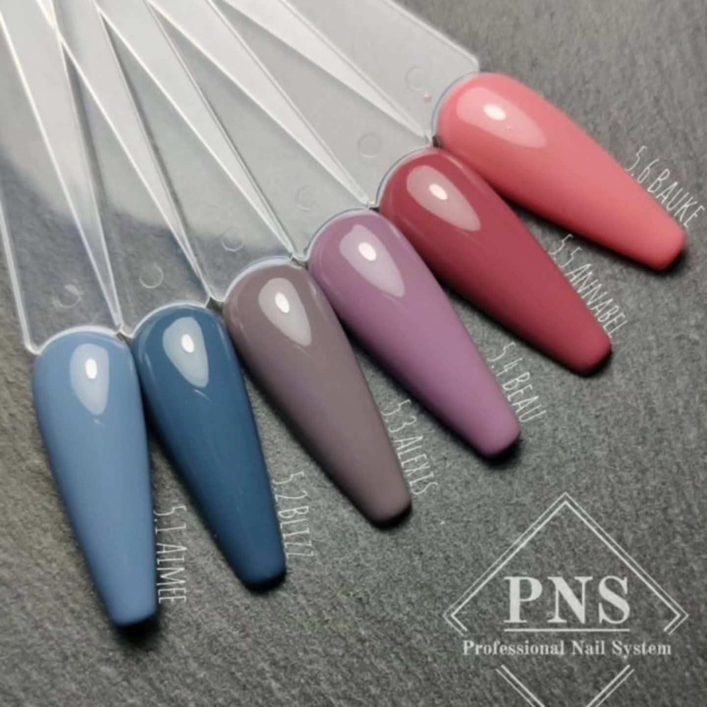 Zes nagellakstaaltjes in de tinten blauw, taupe, mauve, bessenrood en roze op plastic staafjes met merklogo.