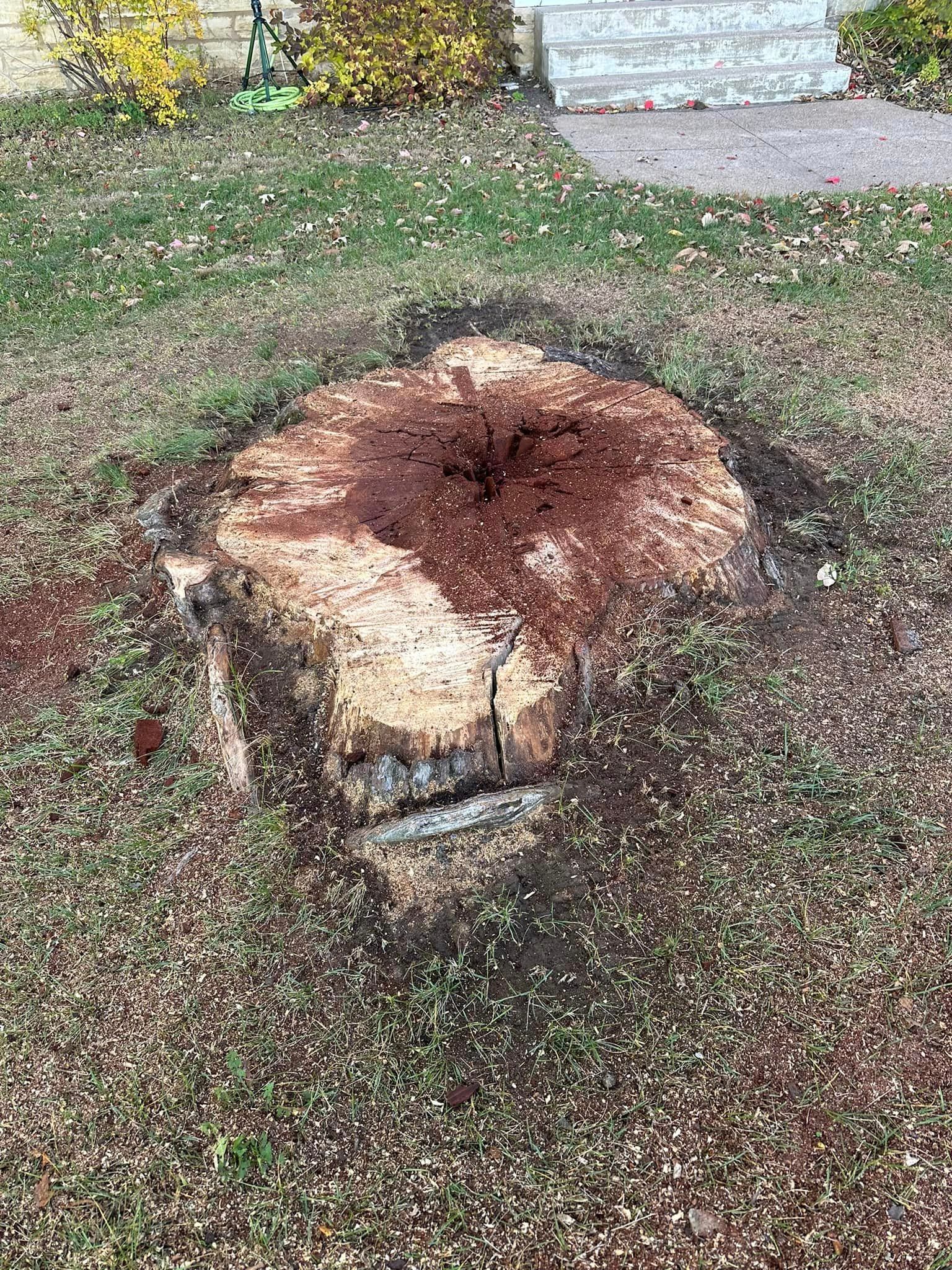 Tree Stump — Iowa City, IA — Corridor Stump Grinding