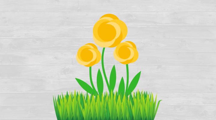 Yellow Flowers — Iowa City, IA — Corridor Stump Grinding