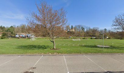 Open grassy field with a leafless tree and parking lot in the foreground under a clear blue sky