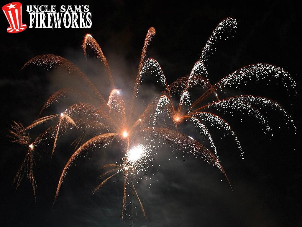 Fireworks Shooting off at Night