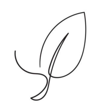 Line drawing of a leaf.