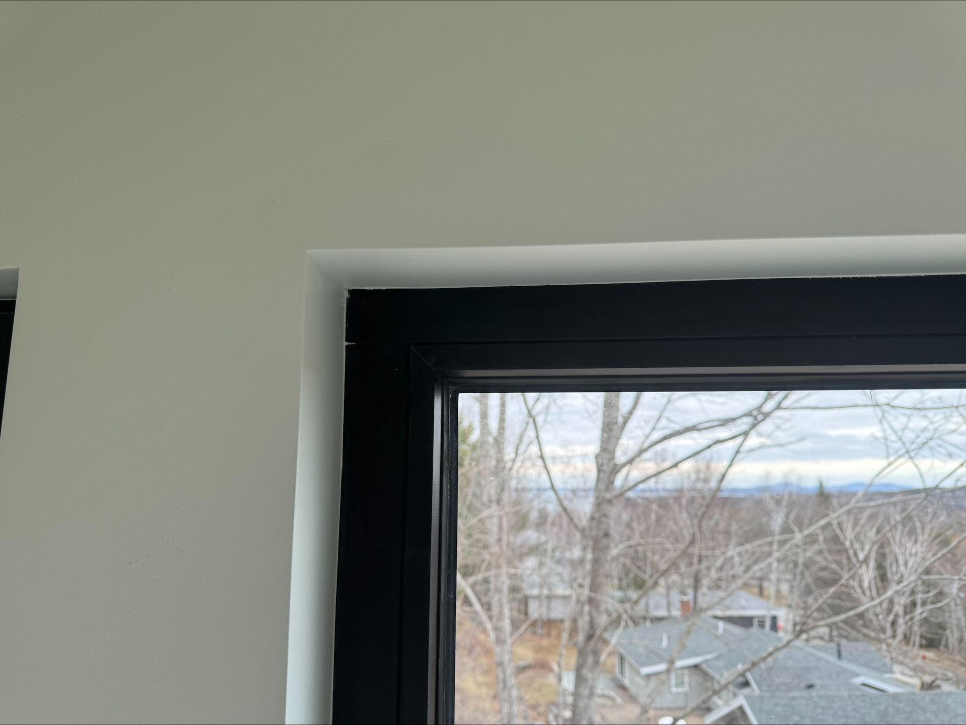 Black-framed window with a view of leafless trees and rooftops outside