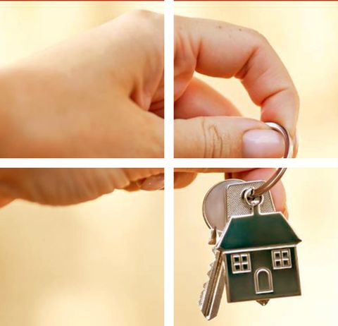 Property Mangement