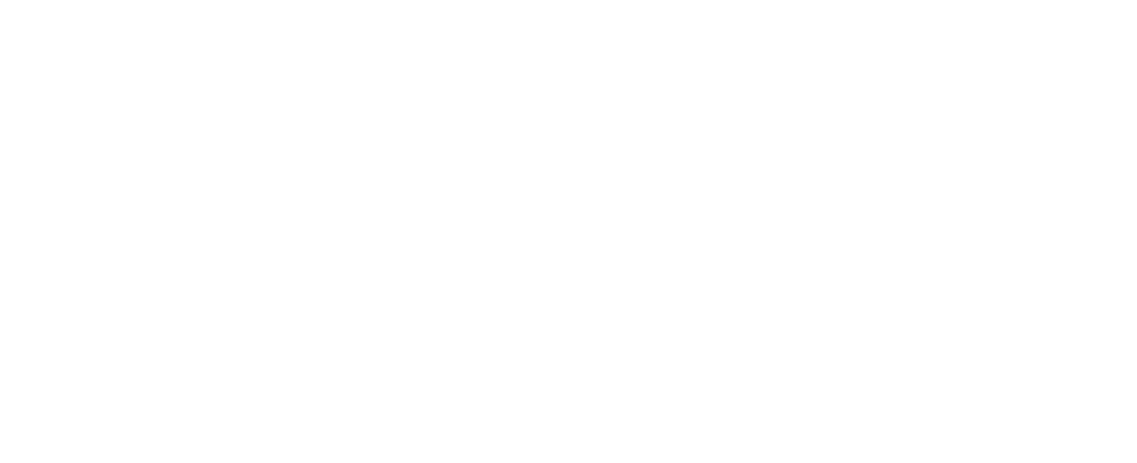 Mostly blank white image with a thin black line near the bottom
