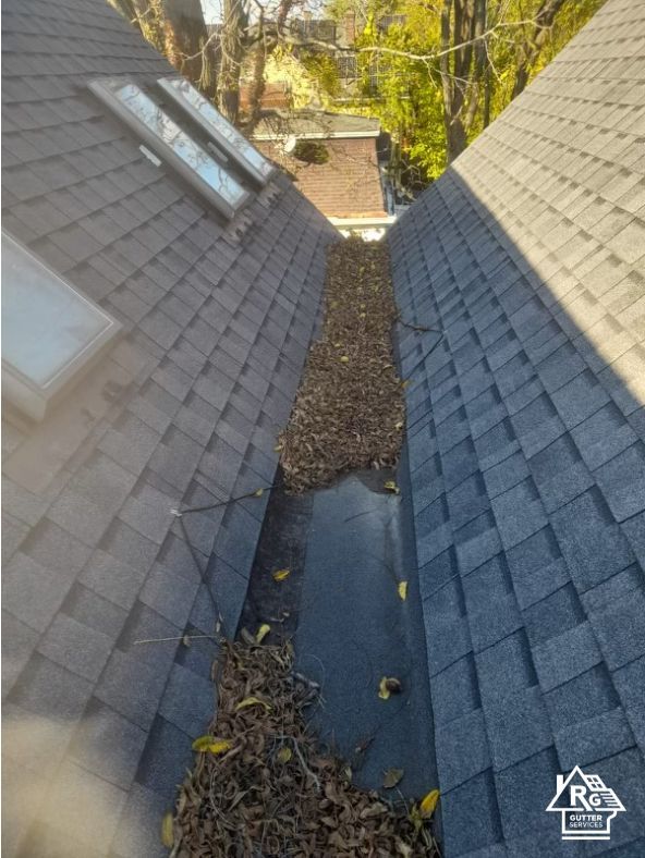 A gutter filled with leaves is between two roofs.