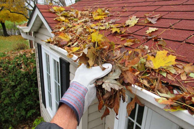 man doing gutter cleaning services in RI
