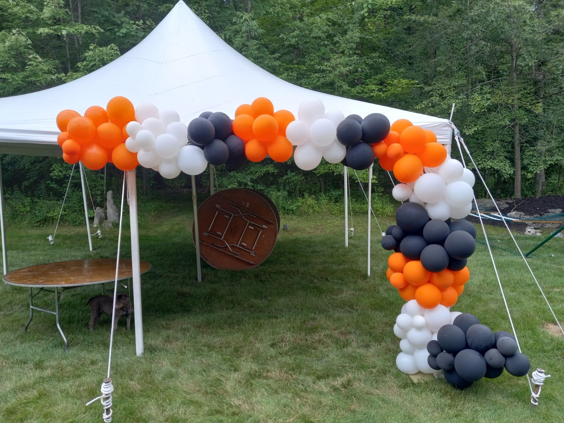White tent decorated with orange, white, and black balloon clusters in a grassy outdoor setting