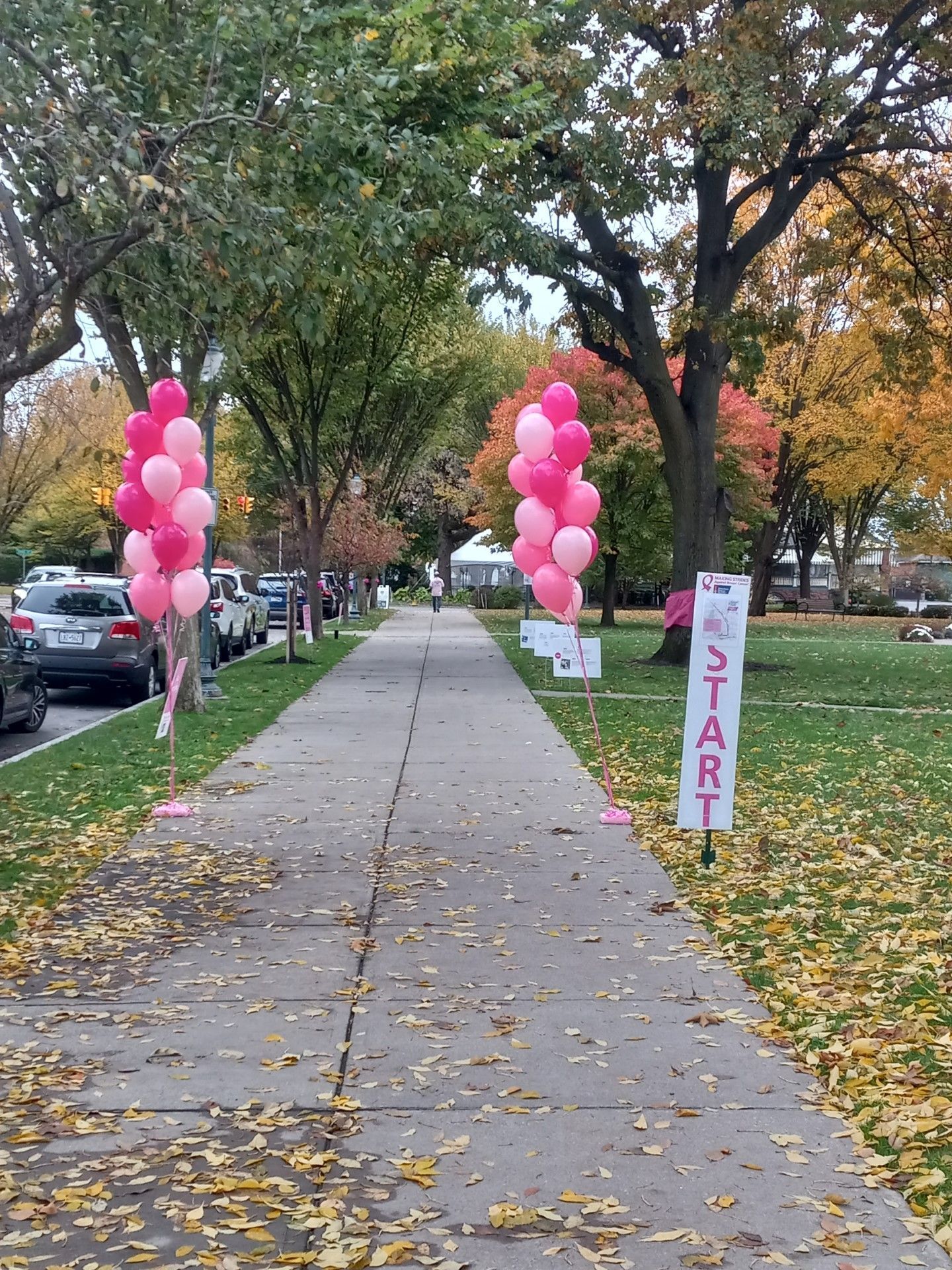 Pink balloon arch lining a park sidewalk with a “START” sign, suggesting a race or walk event