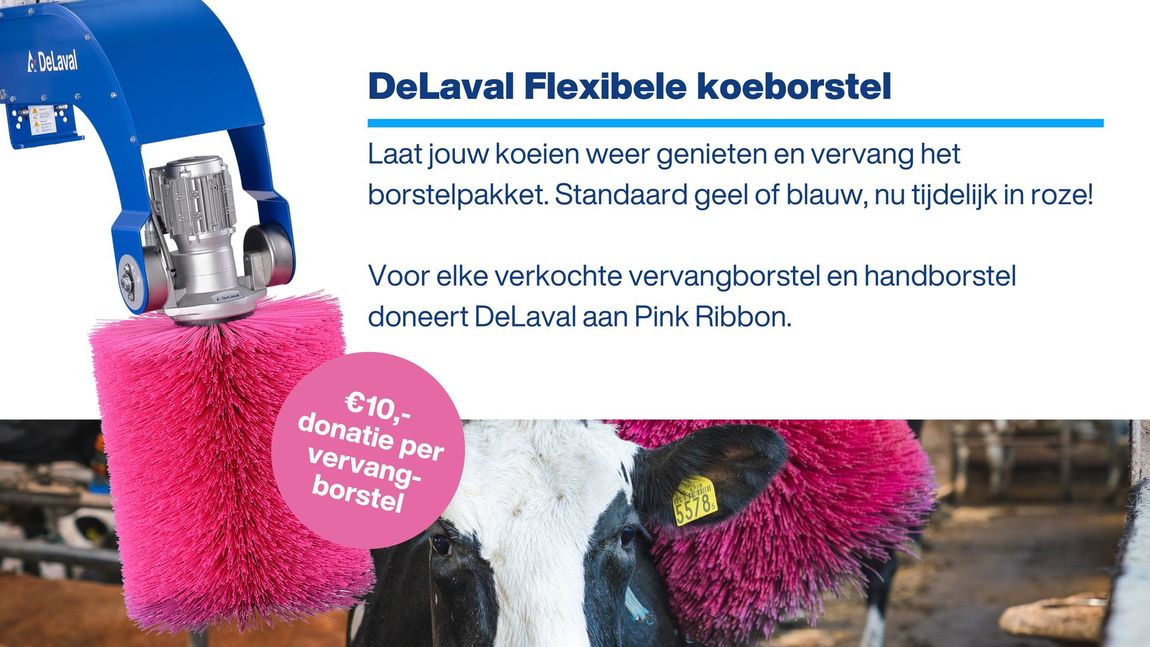 Gevlochten metalen slang naast blauw PeraDIs-vat; tekst over kalk- en corrosiebestendige rubberslang