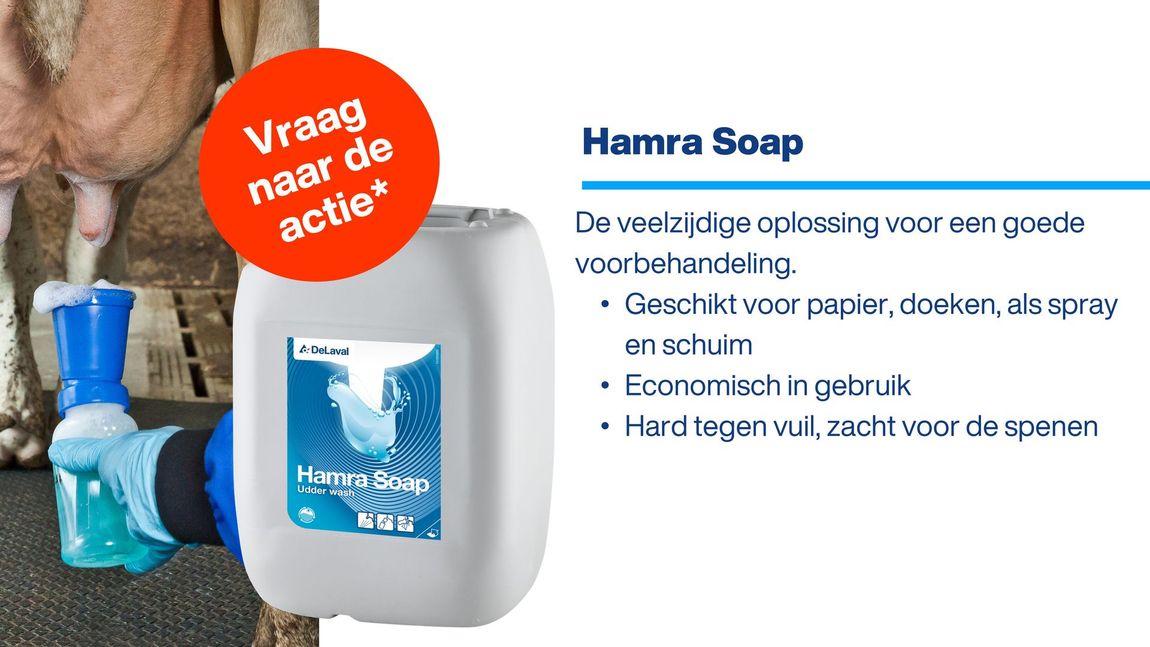 Blauwe werkoverall, afgebeeld met een detailfoto van een model dat de overall draagt, met het opschrift 