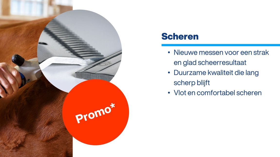 Nederlandse infographic over het kiezen van tandpasta, met blauwe tekst en een close-up van handen met blauwe handschoenen die het product aanbrengen.