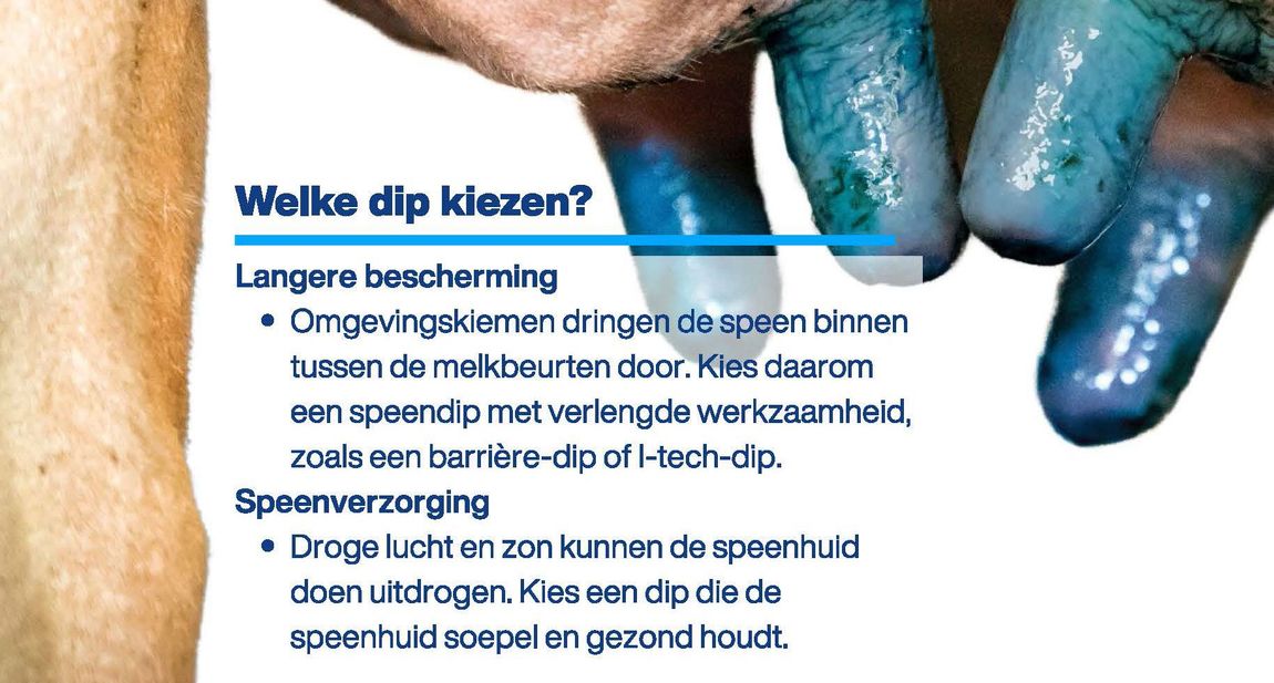Nederlandse infographic over het kiezen van tandpasta, met blauwe tekst en een close-up van handen met blauwe handschoenen die het product aanbrengen.
