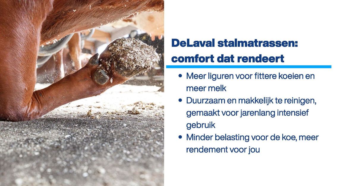 Een arbeider spuit beton, met Nederlandse tekst over DeVel comfortpleister op een wit paneel.