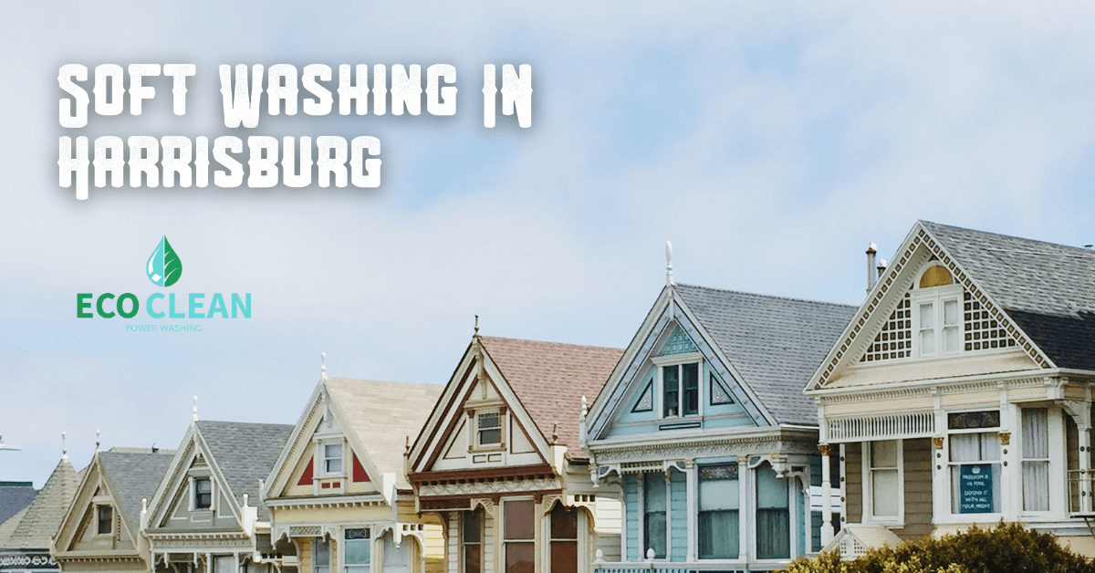 Soft washing company | Eco Clean Power Washing Soft washing services near me