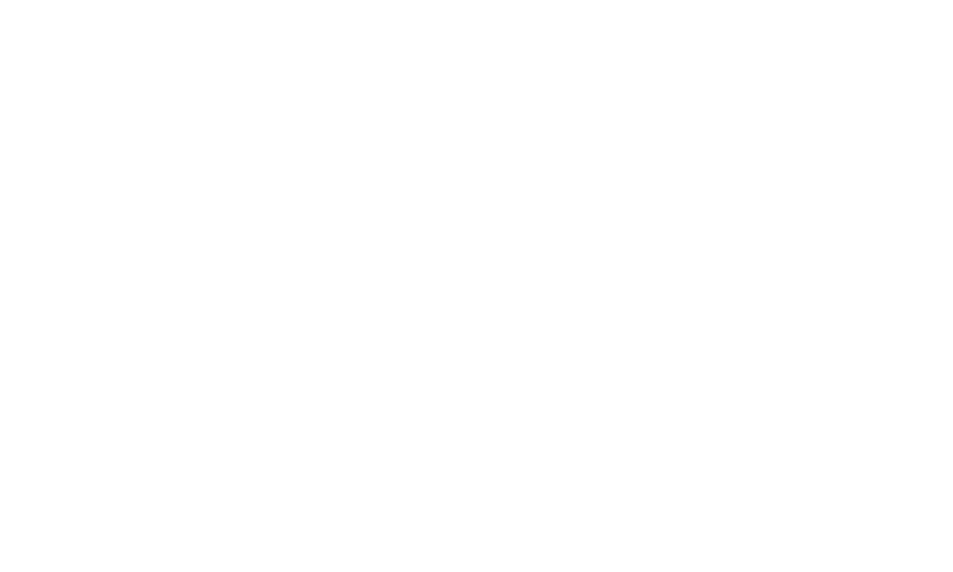 A white background with a few lines on it the logo is dream adventures llc.