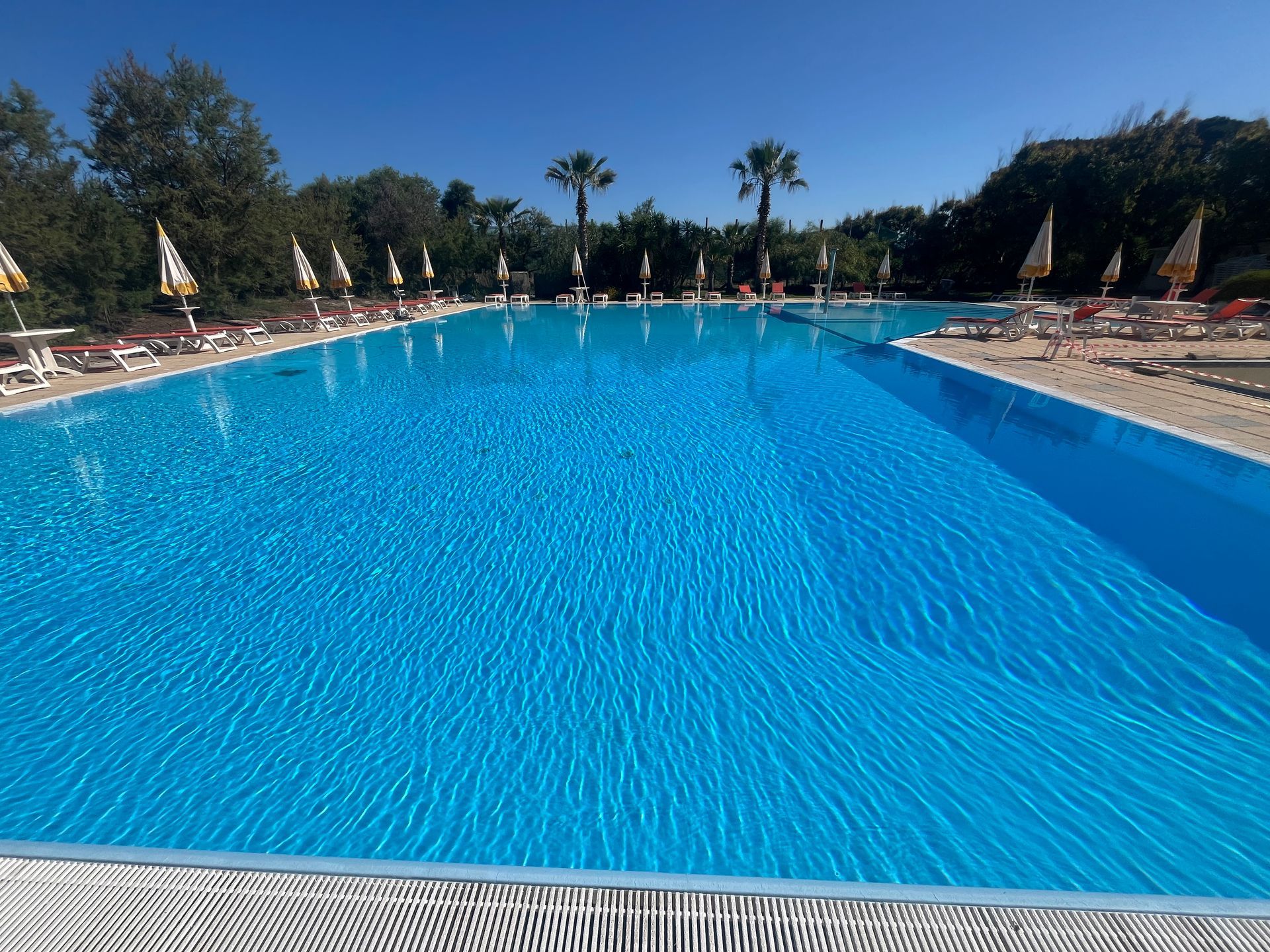 Una lunga piscina blu in una giornata di sole, circondata da sedie a sdraio e ombrelloni.