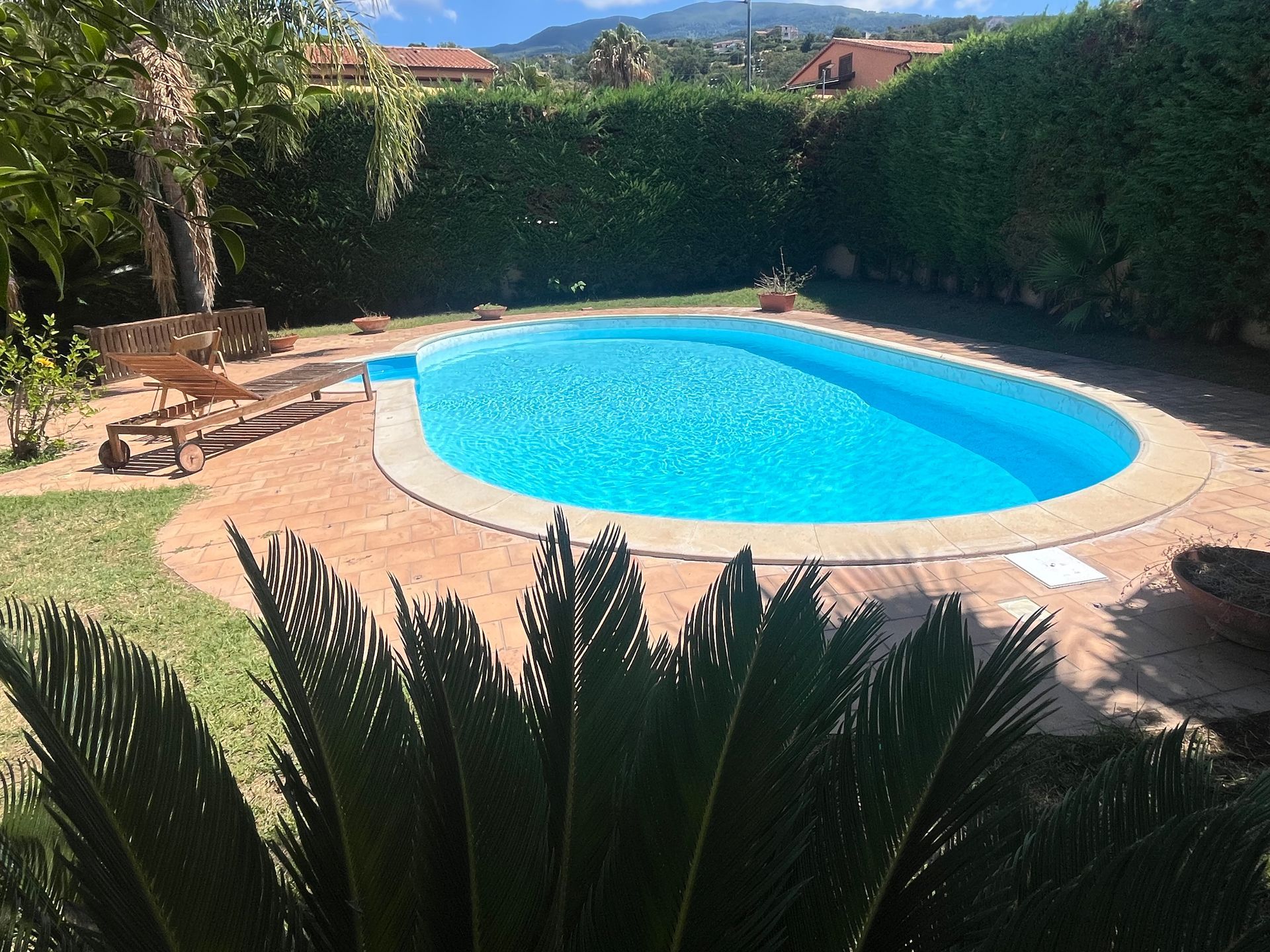 Piscina ovale circondata da prato e siepi in un cortile soleggiato.
