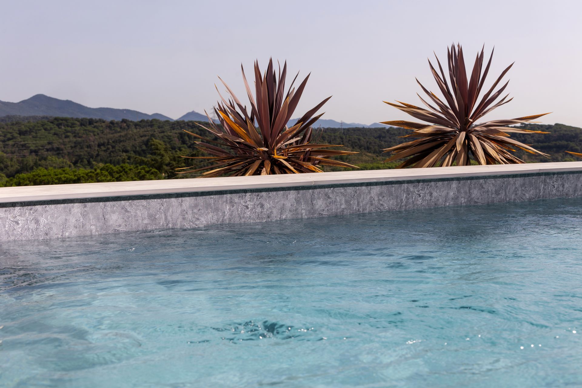 Piscina con acqua azzurra e due piante marroni spinose sullo sfondo di un paesaggio di alberi verdi e montagne.