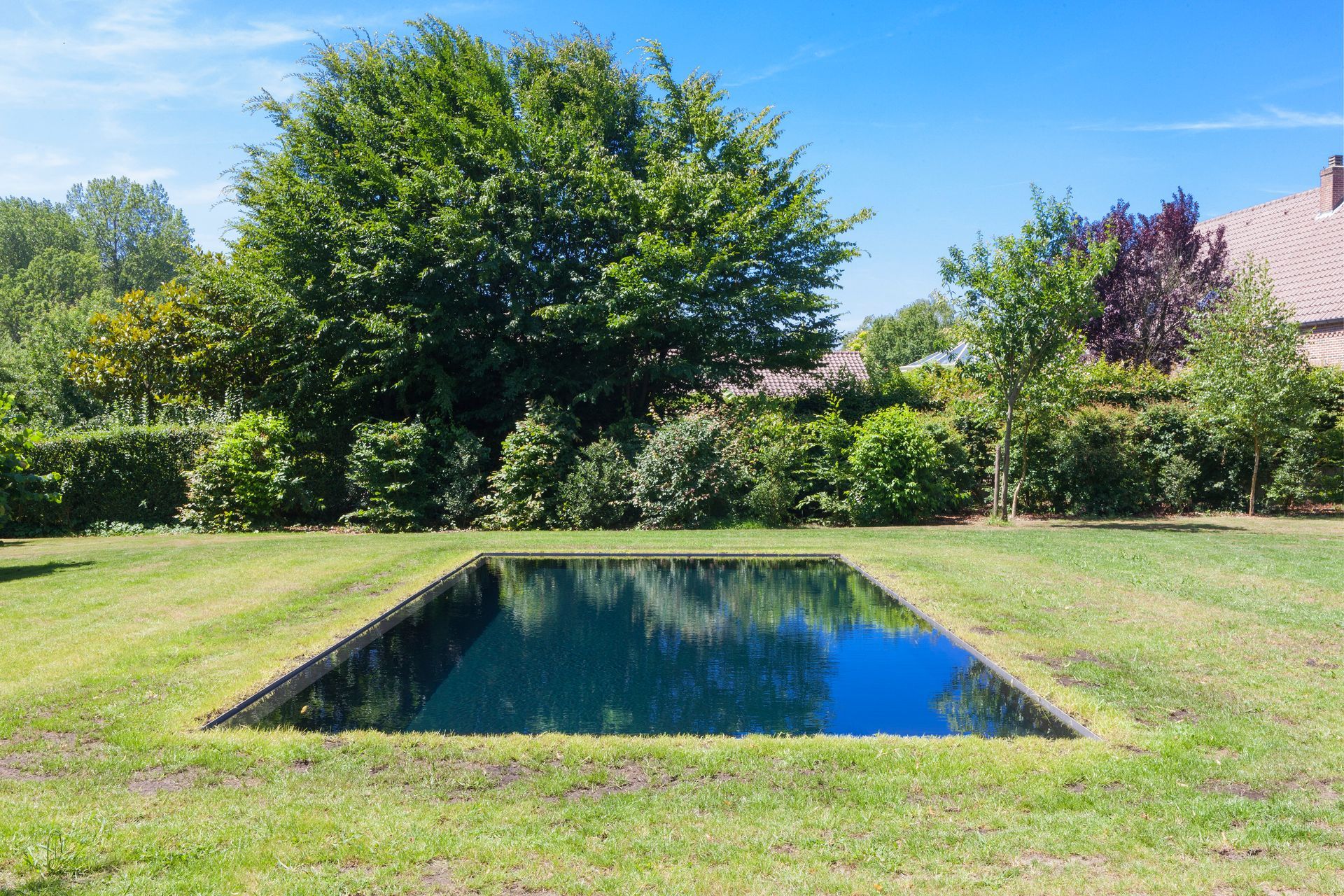 Piscina riflettente rettangolare in un cortile erboso, circondata da fogliame verde, sotto un cielo azzurro.