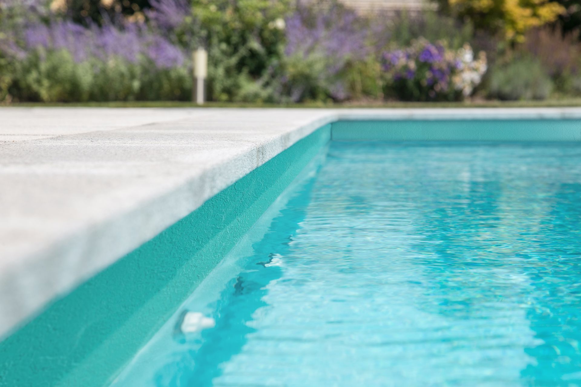 Primo piano del bordo della piscina con acqua turchese e pietra chiara circostante, piante di lavanda sullo sfondo.