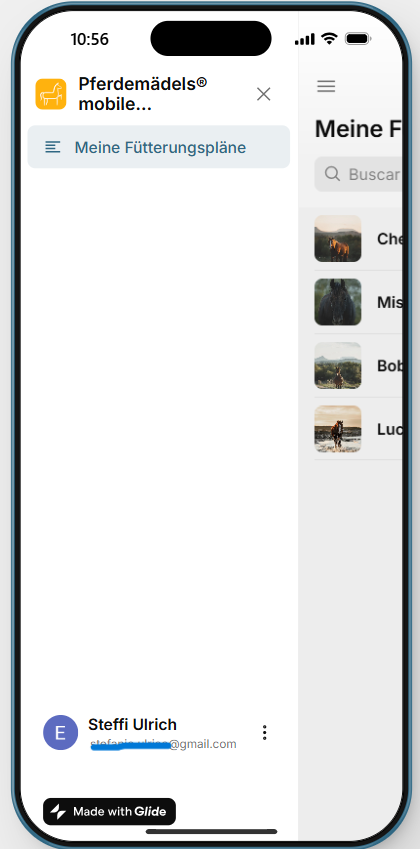 Mobile app screen showing an empty “Meine Übertragungsliste” page with a search bar and bottom navigation.