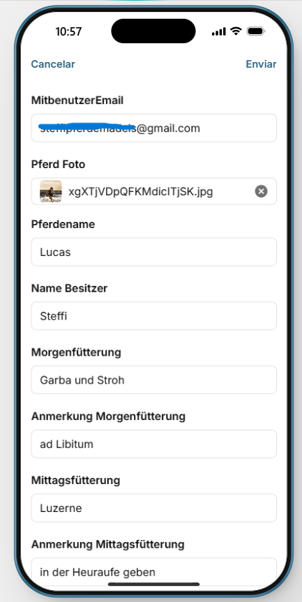 Mobiles Formular in deutscher Sprache mit Feldern für Fotos, Standort, Zählerstand und Notizen