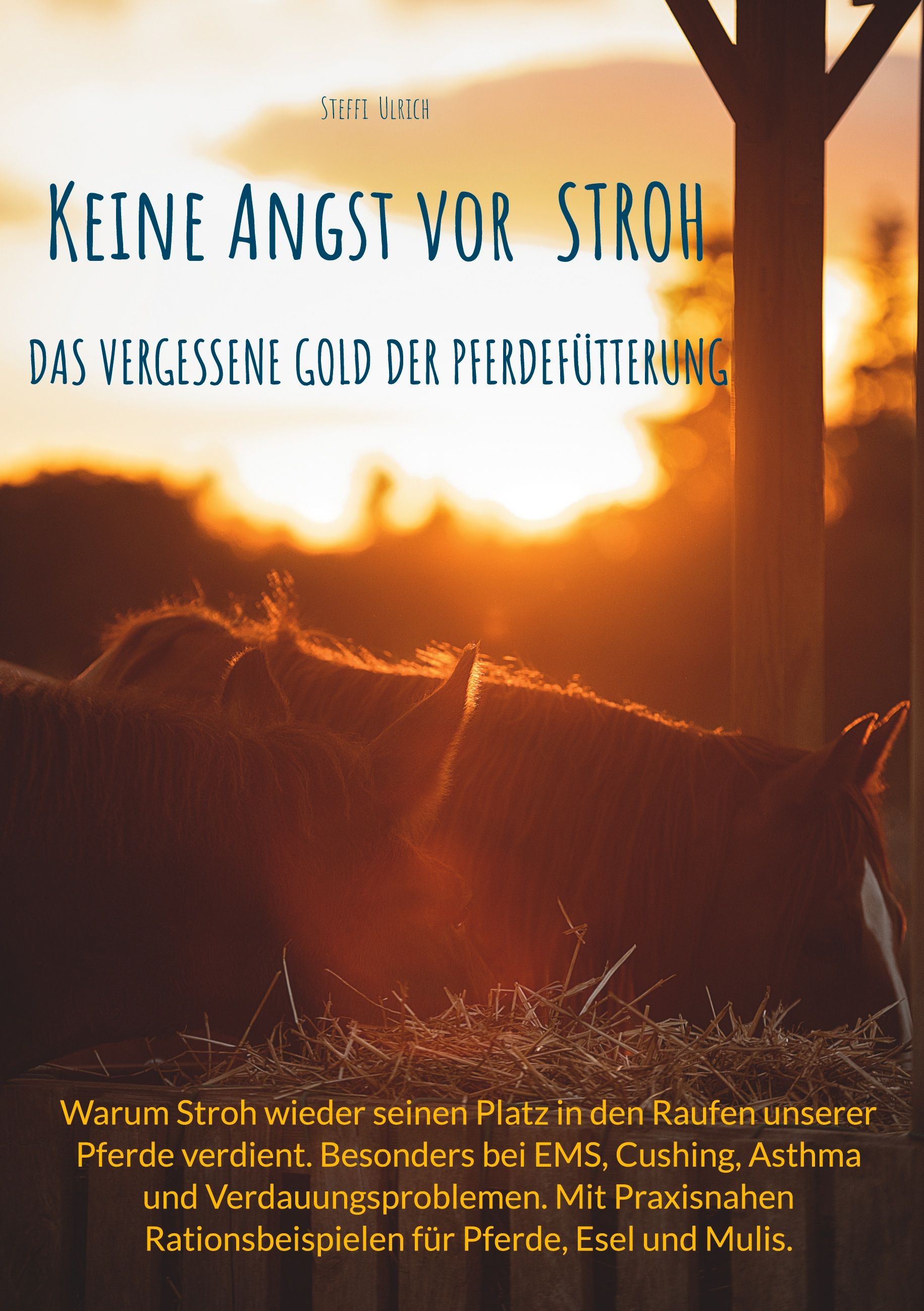 Buchcover: „Keine Angst vor Stroh“. Pferde im Sonnenuntergang mit Text über Pferdefütterung.
