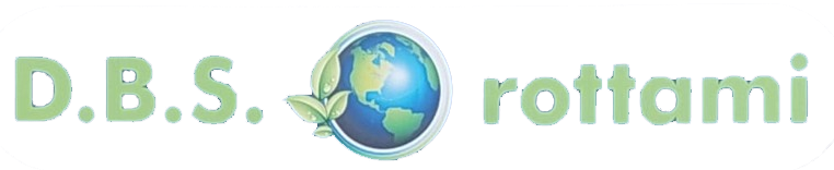 LOGO DBS ROTTAMI