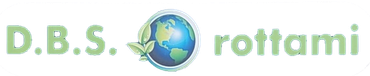 logo d.b.s. rottami paderno dugnano