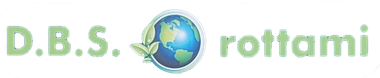 LOGO DBS ROTTAMI