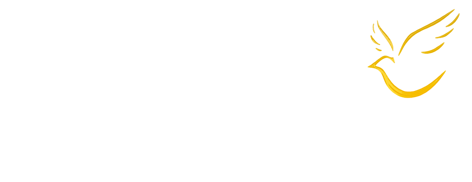 Haley Funeral Directors logo in white text