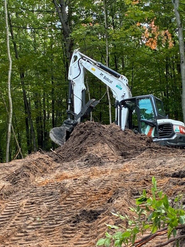 Excavator on a dirt mound in a forest clearing, surrounded by tall green trees.