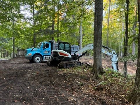 Blue utility truck and skid-steer excavator working in a wooded area among tall trees.