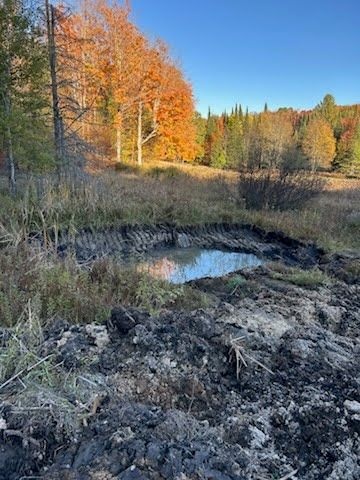 Autumn woodland scene with a muddy puddle, rocky foreground, and colorful trees under a clear blue sky