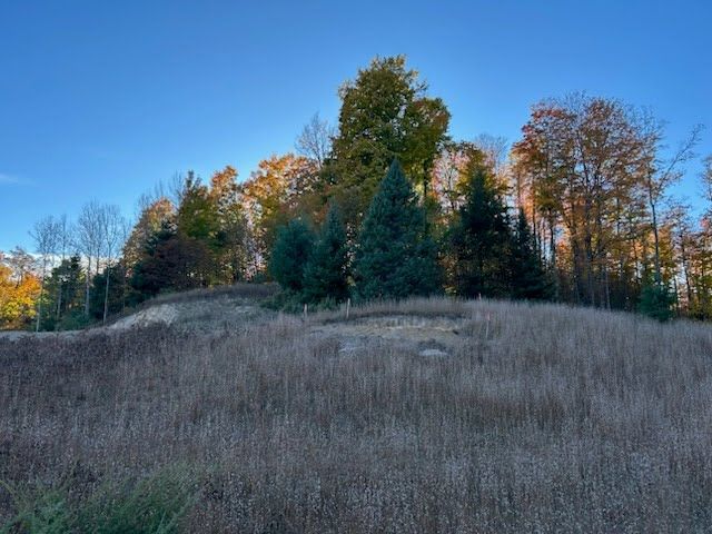 Grassy hill with trees under a clear blue sky at sunset