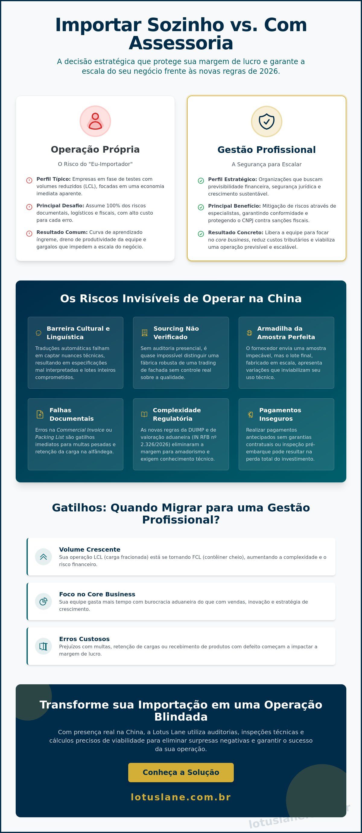 Infográfico: importar sozinho ou com assessoria
